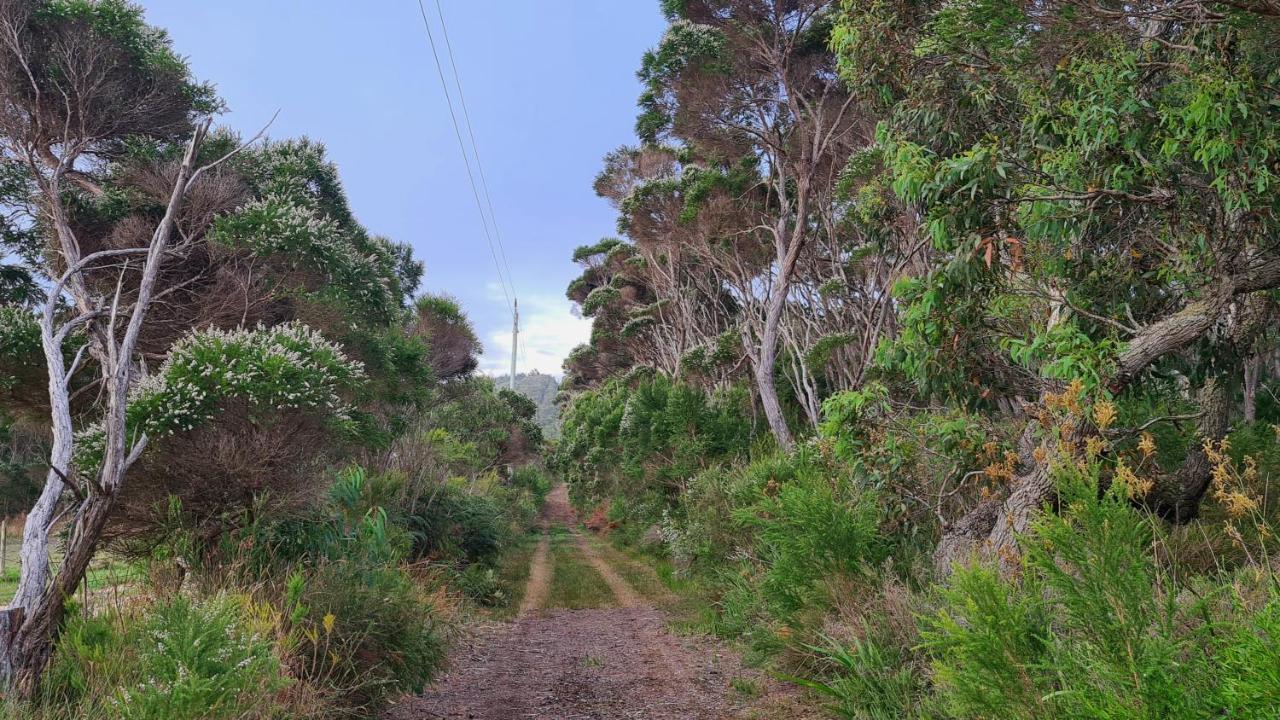 Cape Howe Cottages Lowlands Dış mekan fotoğraf