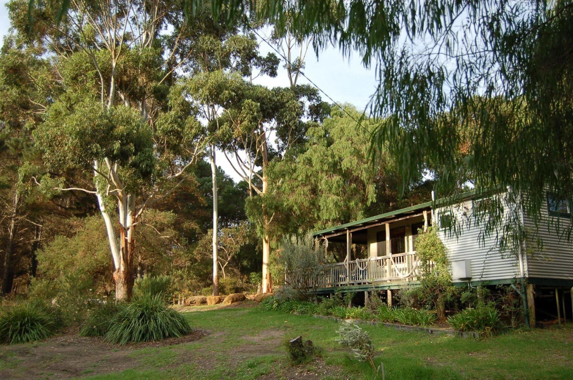 Cape Howe Cottages Lowlands Dış mekan fotoğraf